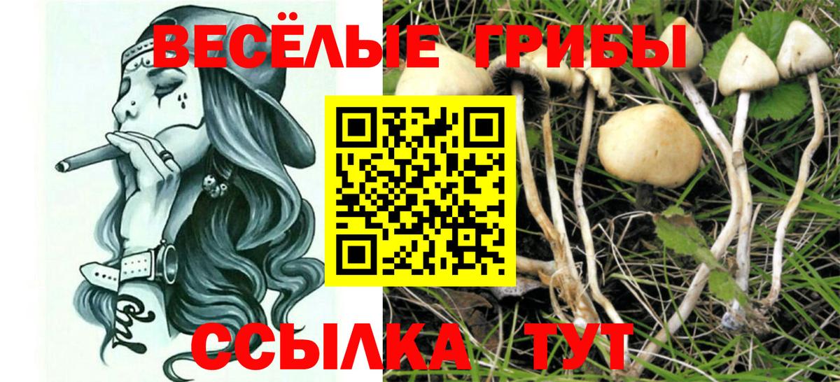 цены наркотик  Вход с VPN  Владивосток  Галлюциногенные грибы мухоморы 